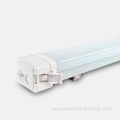 IP65 Tri-proof LED Light